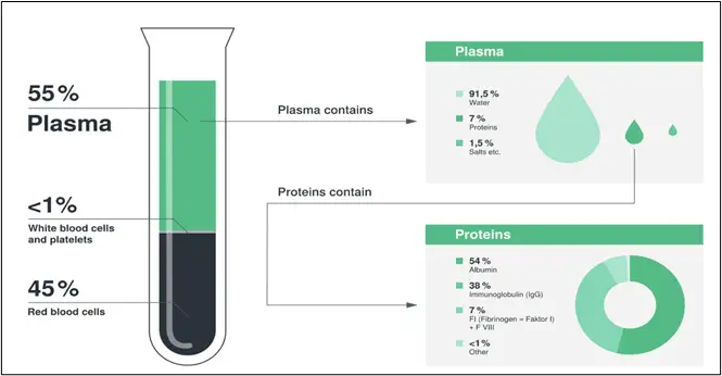 Plasma Laboratory Research